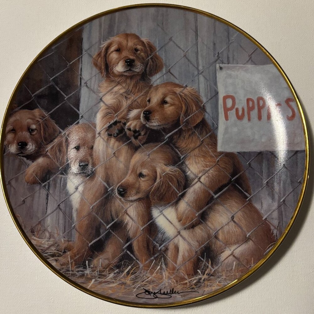Adopt a Puppy A.S.P.C.A golden retriever plate from the Franklin Mint